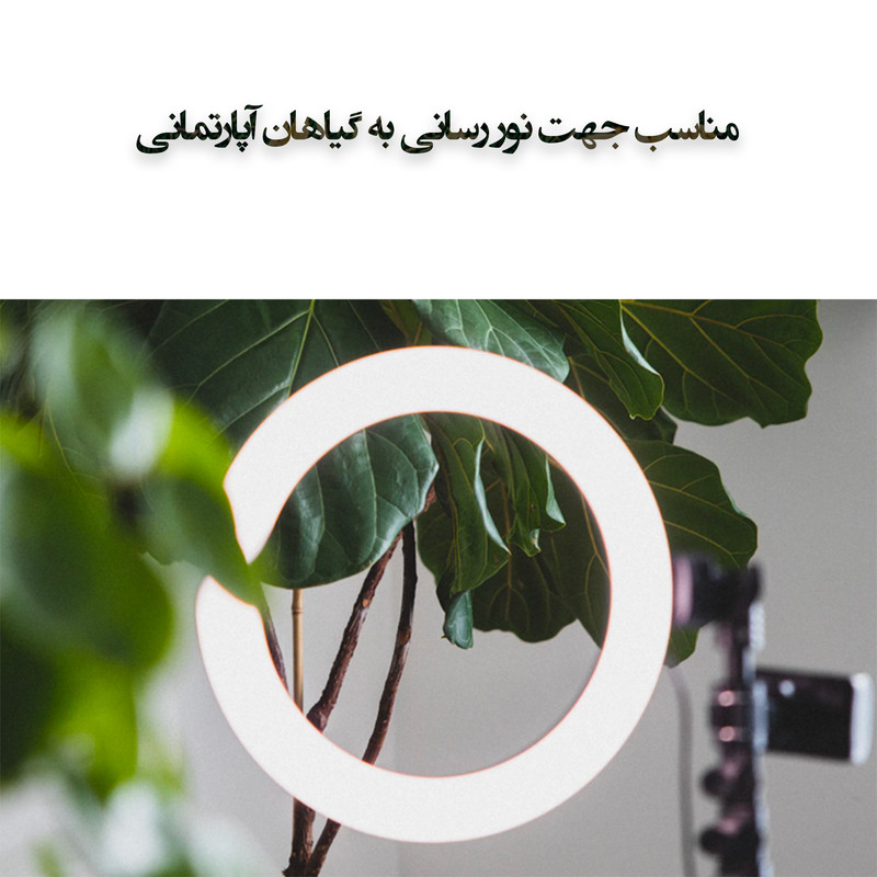 رینگ لایت مدل LJJ-26 RGB-26cm
